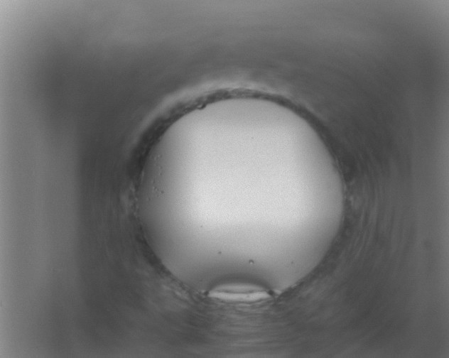 X0000067001495200604142245