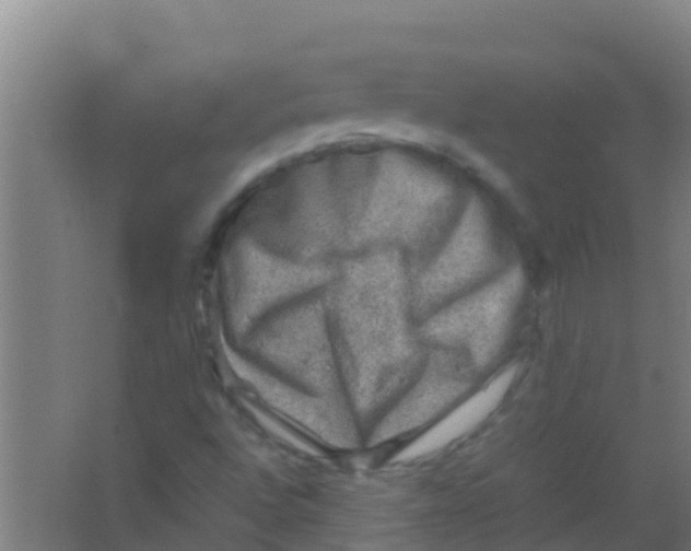 X0000067001496200604142245