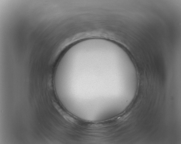 X0000067001499200604142245