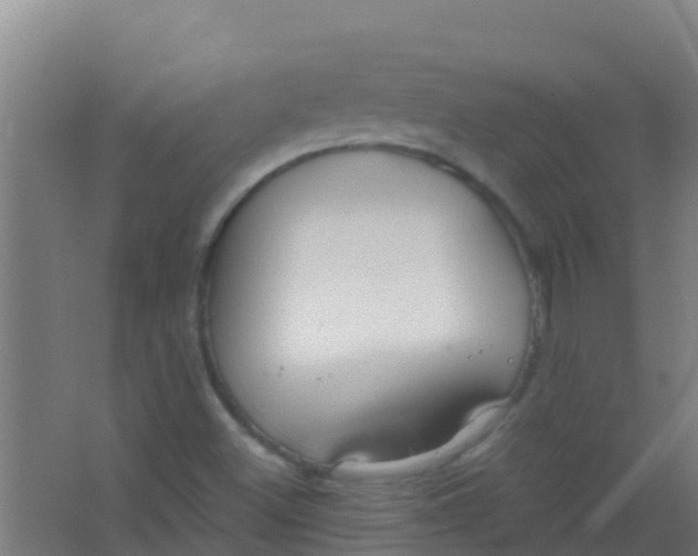 X0000067001500200604142245