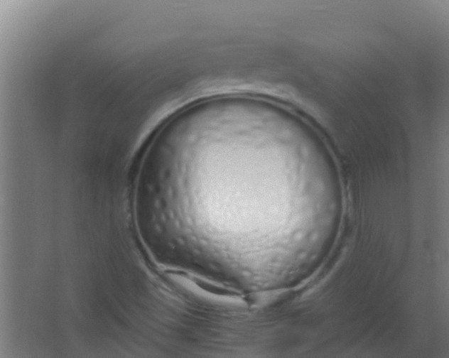 X0000067001501200604142245