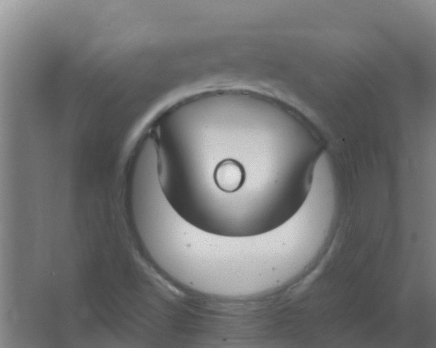 X0000067001502200604142245