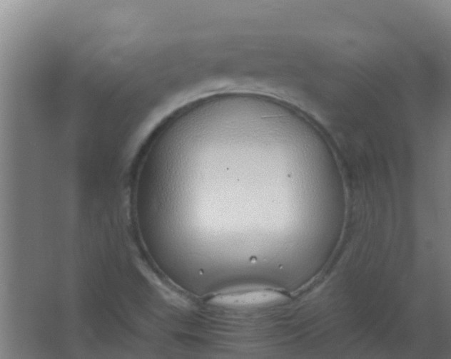 X0000067001503200604142245