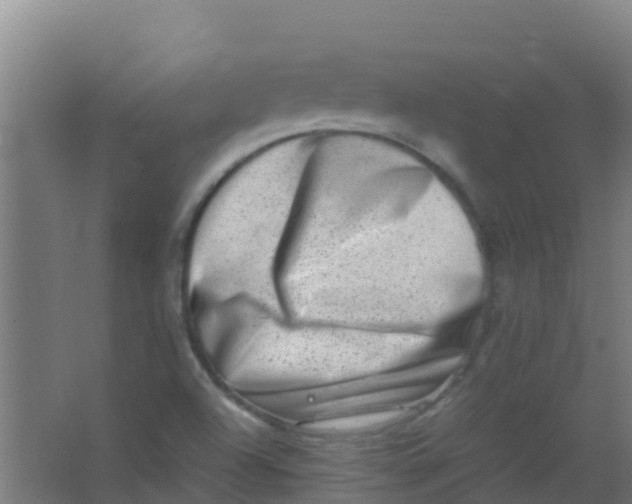 X0000067001504200604142245