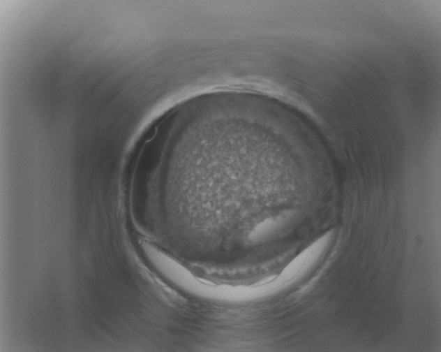 X0000067001506200604142245