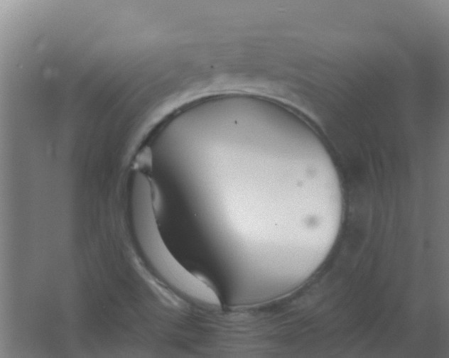 X0000067001507200604142245