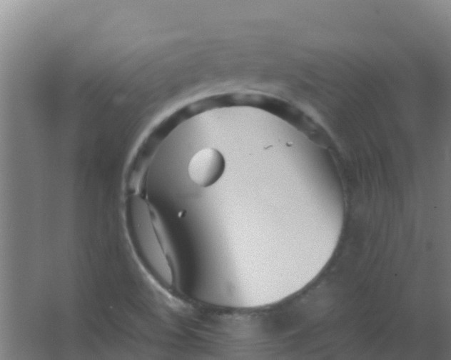 X0000067001508200604142245