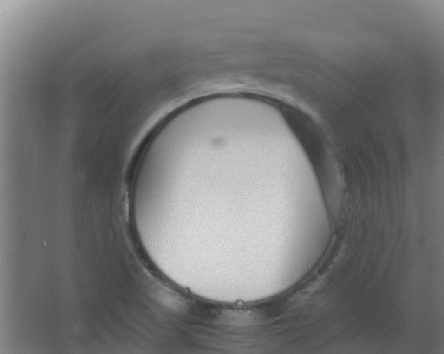 X0000067001509200604142245