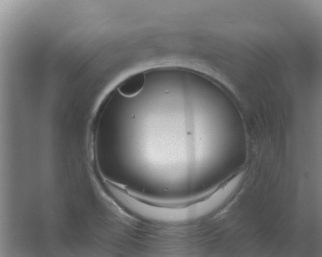 X0000067001510200604142245