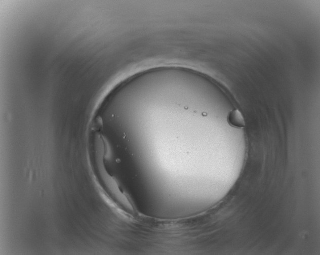 X0000067001511200604142245