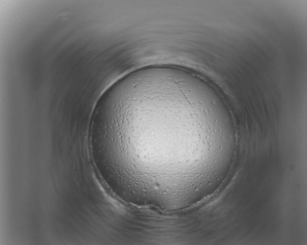 X0000067001513200604142245