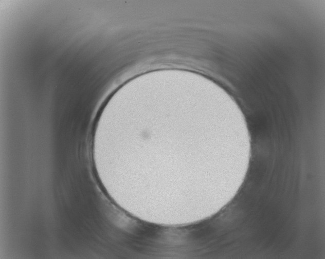 X0000067001514200604142245