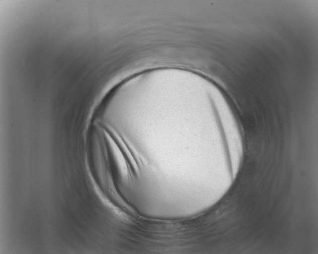 X0000067001515200604142245