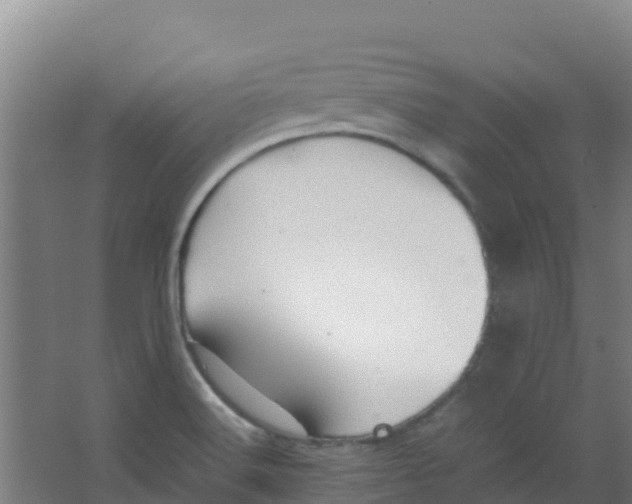 X0000067001516200604142245