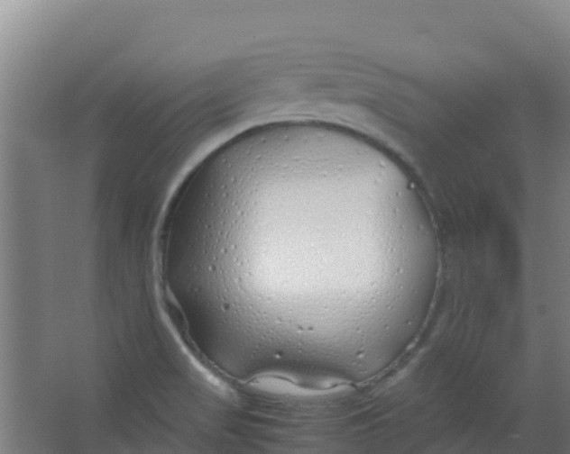 X0000067001517200604142246