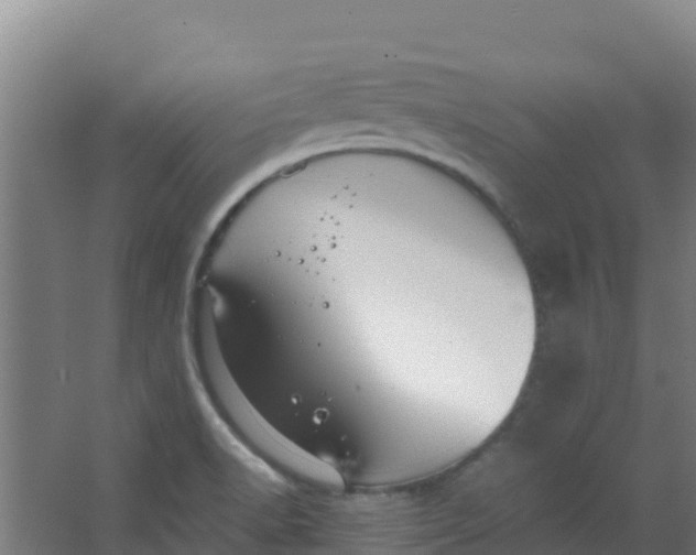 X0000067001518200604142246