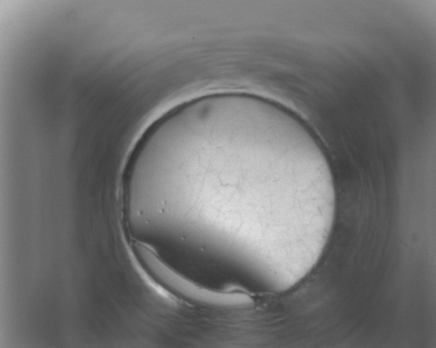 X0000067001519200604142246