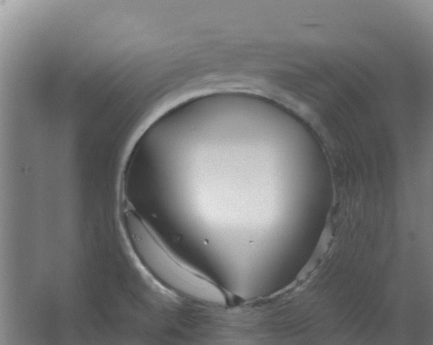 X0000067001520200604142246