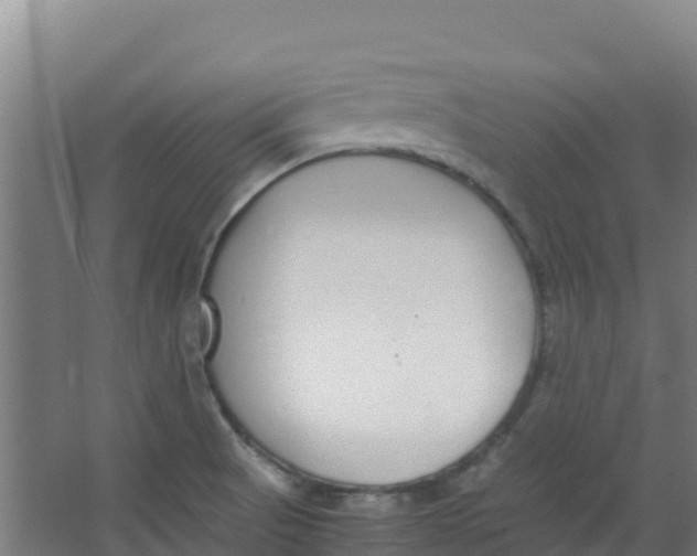 X0000067001521200604142246