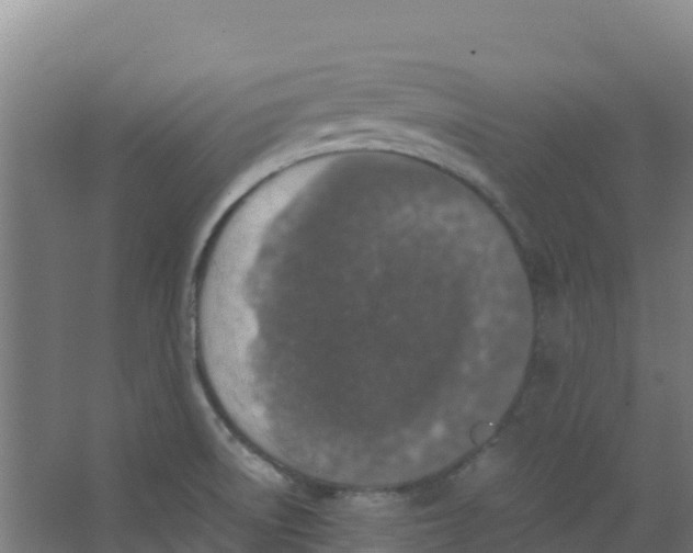 X0000067001522200604142246