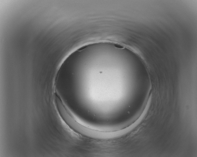 X0000067001524200604142246