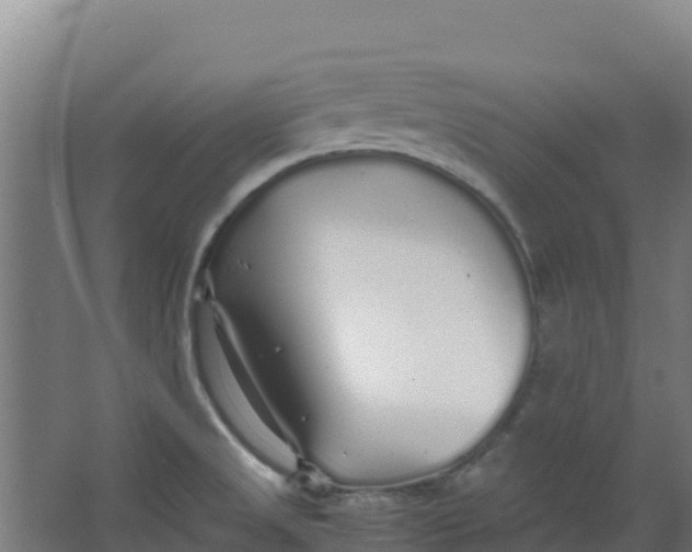 X0000067001525200604142246