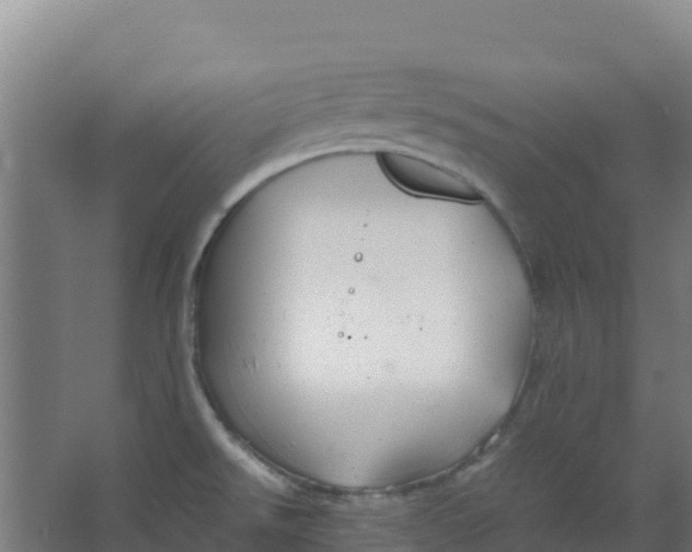 X0000067001526200604142246