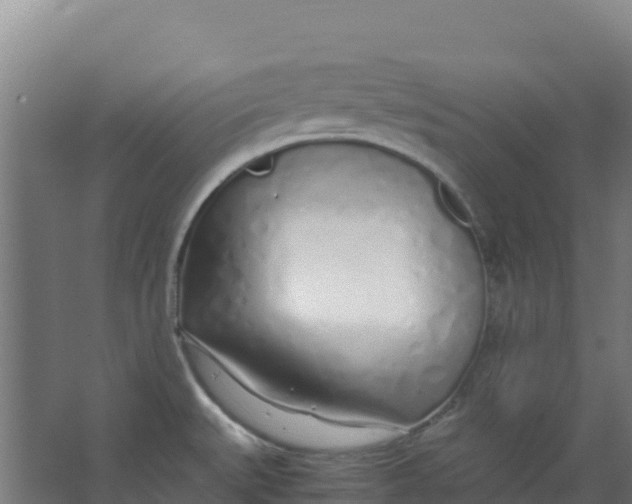 X0000067001527200604142246