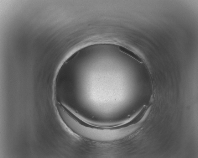 X0000067001528200604142246