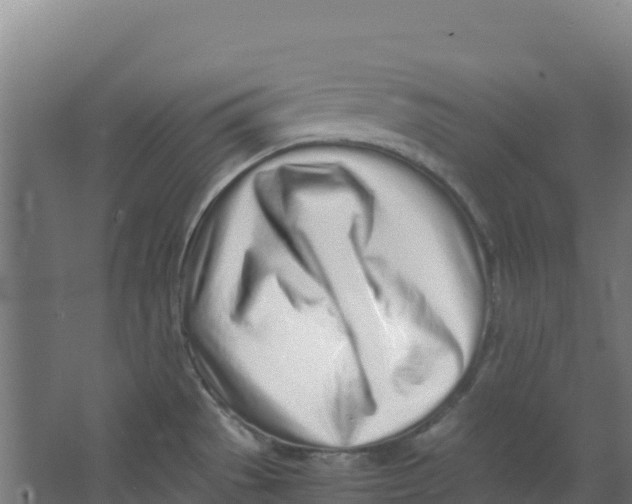 X0000067001529200604142246