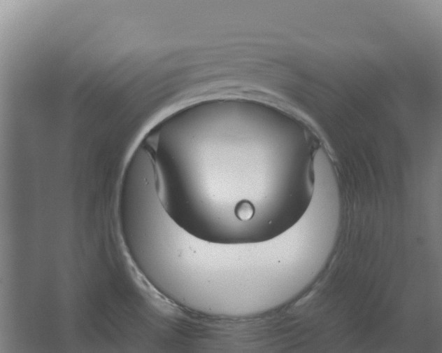 X0000067001530200604142246