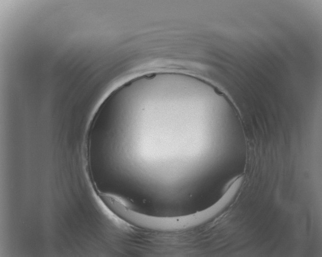 X0000067001531200604142246