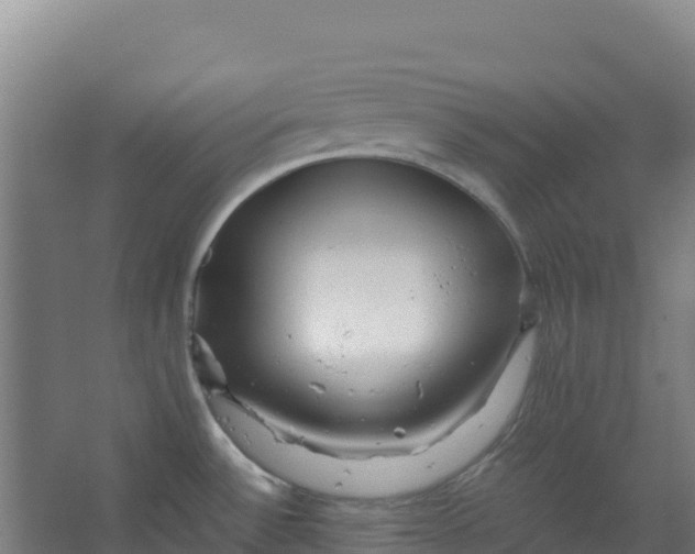 X0000067001532200604142246