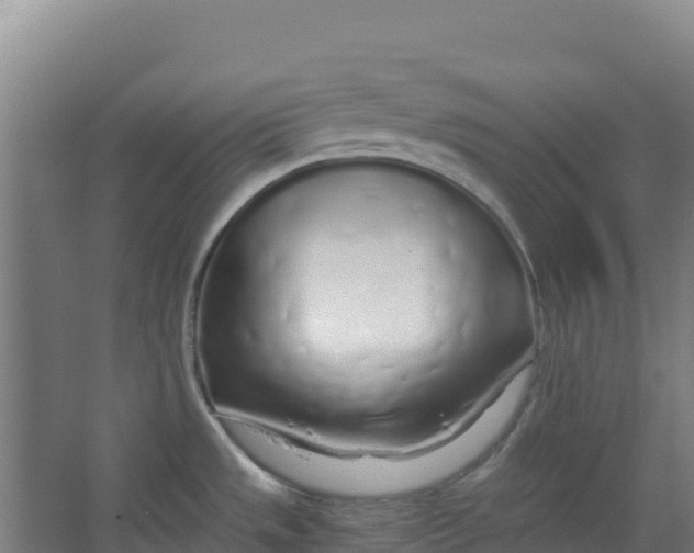 X0000067001533200604142246