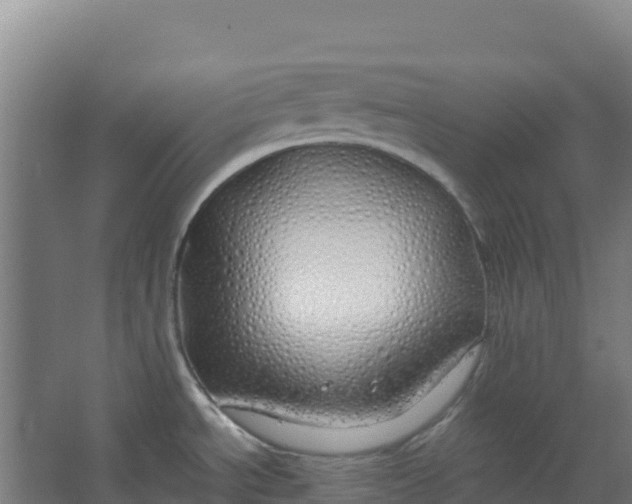 X0000067001534200604142246