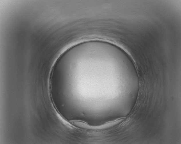 X0000067001535200604142246