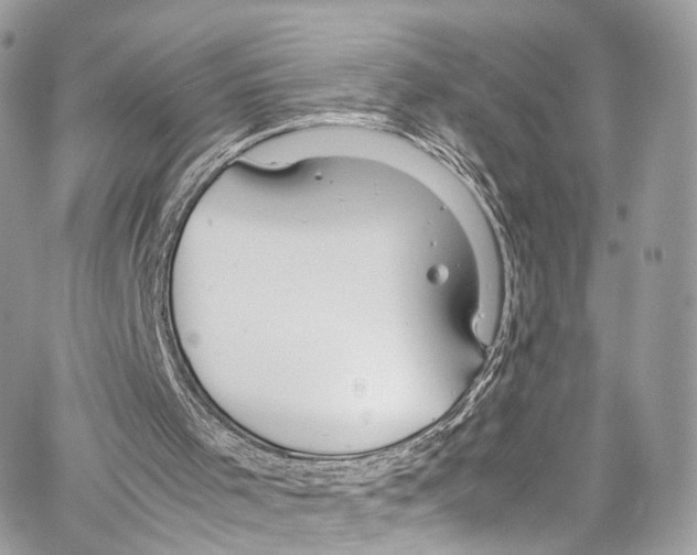 X0000067000001200604241416