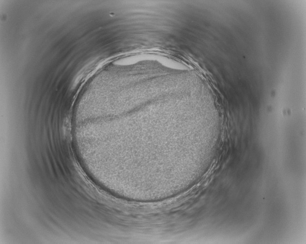 X0000067000002200604241416