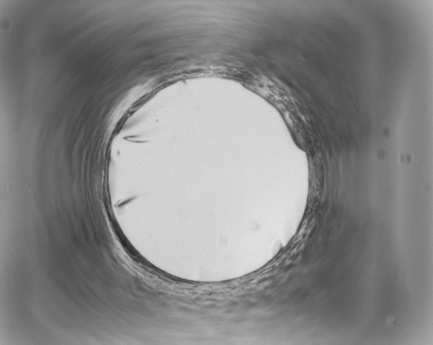 X0000067000003200604241416