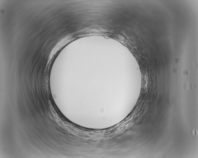 X0000067000004200604241416