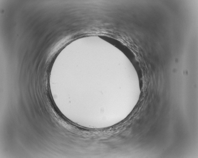 X0000067000005200604241416