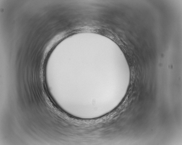 X0000067000006200604241416