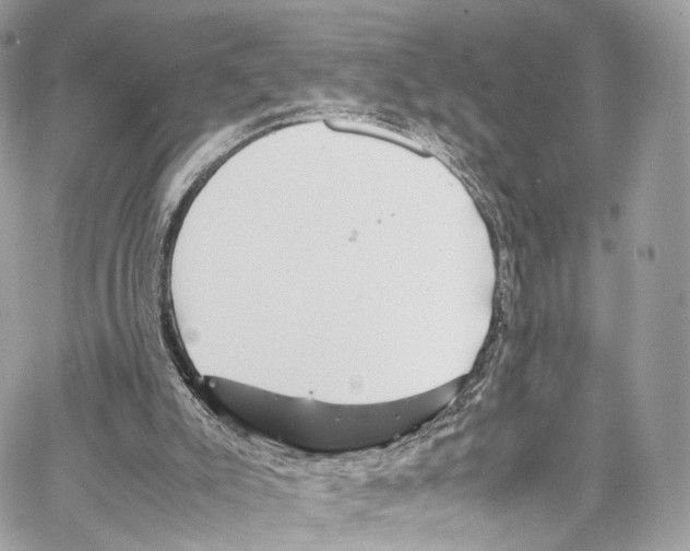 X0000067000007200604241416