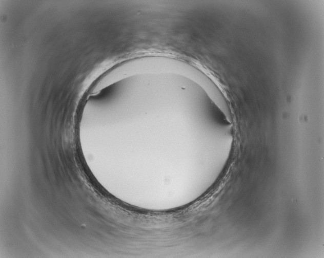 X0000067000008200604241416