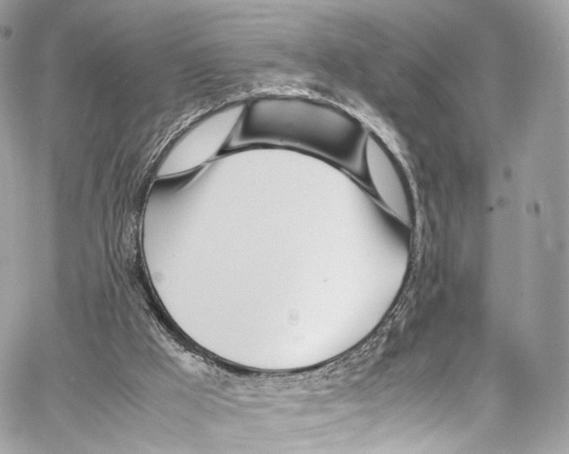 X0000067000009200604241416