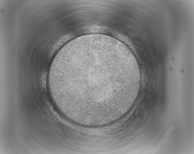 X0000067000010200604241416