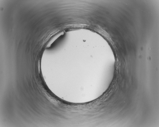 X0000067000013200604241416