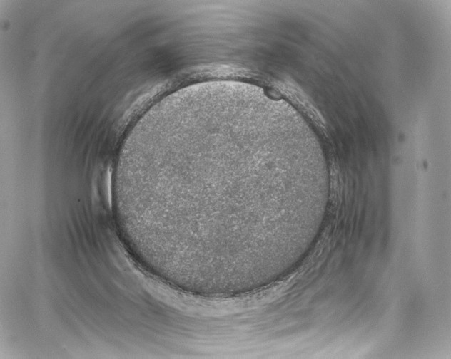 X0000067000014200604241416