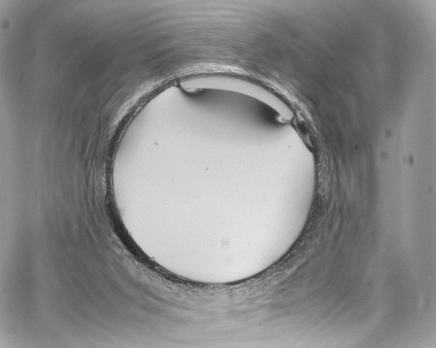 X0000067000015200604241416