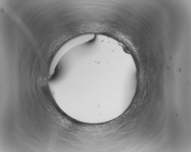 X0000067000017200604241416